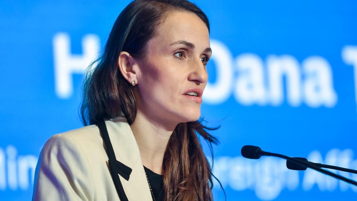 Oana Toiu atrage atentia asupra bugetului din 2027 Responsabilitatea va fi sa l adoptam din toamna