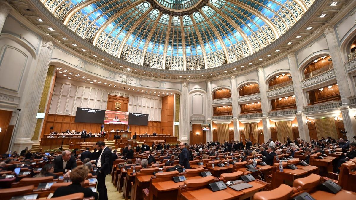 Senat copiii cu cerinte speciale vor beneficia de masa calda sau pachet alimentar in loc de alocatie de