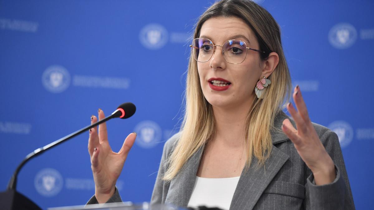 Diana Buzoianu anunta ca instanta a respins solicitarea de suspendare a reorganizarii Romsilva Continuam reforma