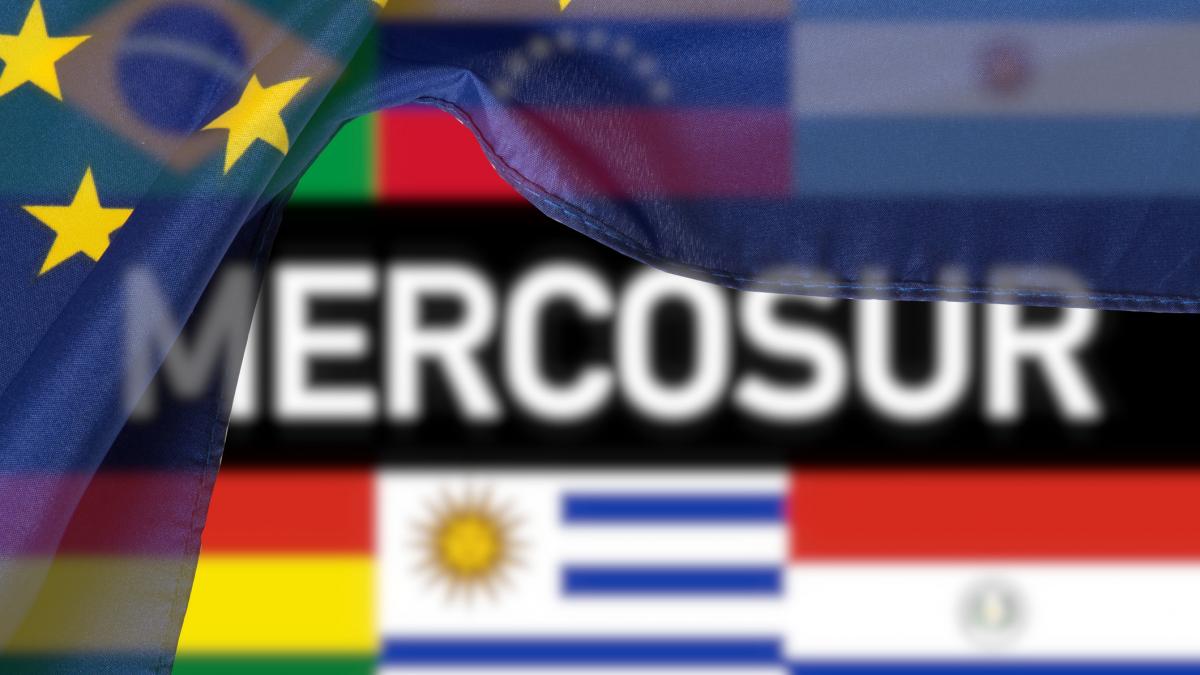 Guvernul a aprobat memorandumul pentru semnarea Acordului UE Mercosur Pasul 2 ratificarea in