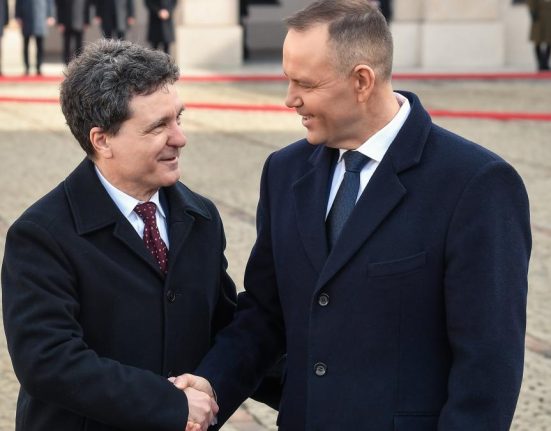 Nicuser Dan va gazdui pe 13 mai la Cotroceni Summitul B9 si al Tarilor Nordice