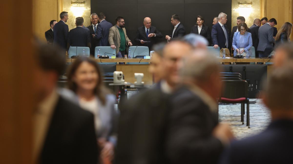 PSD facea apel catre liderii PNL care doresc o coalitie post Bolojan sa aiba curajul sa se