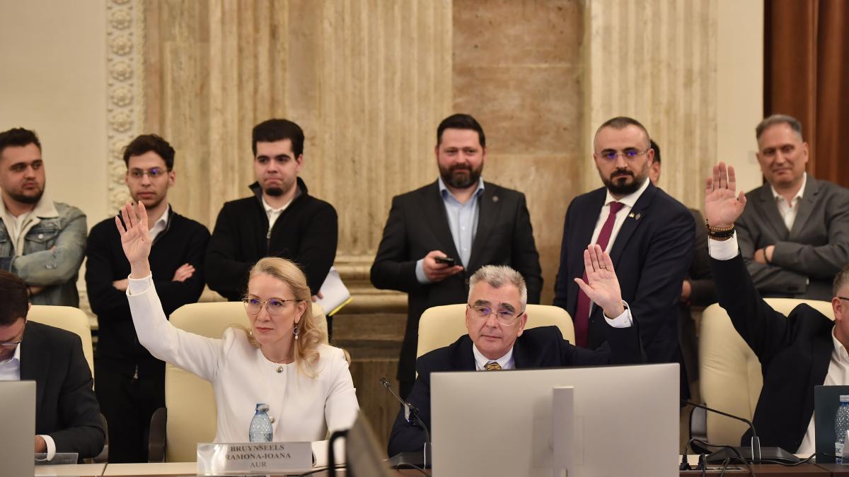 PSD si AUR au votat amendamentul lui Peiu pentru vanzarea actiunilor companiilor de stat doar