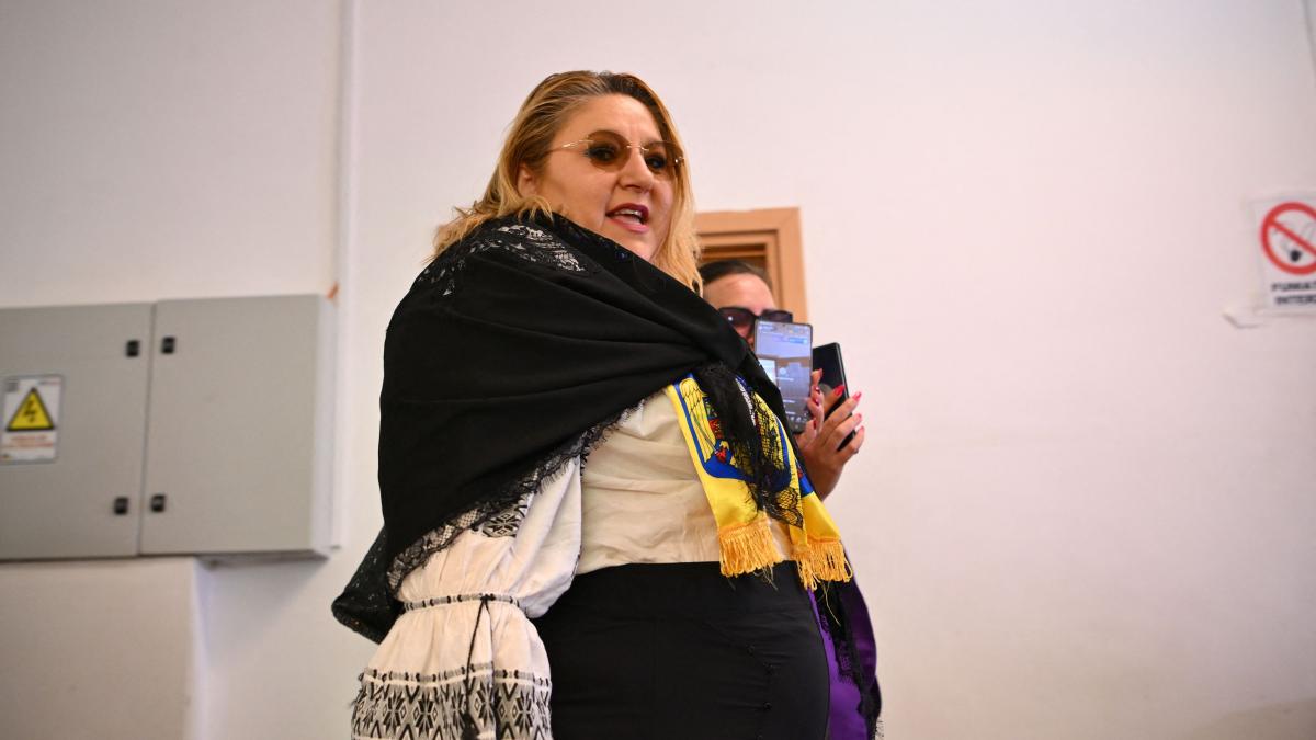 Parlamentul European decide asupra ridicarii imunitatii Dianei Sosoca acuzata de 11 infractuni