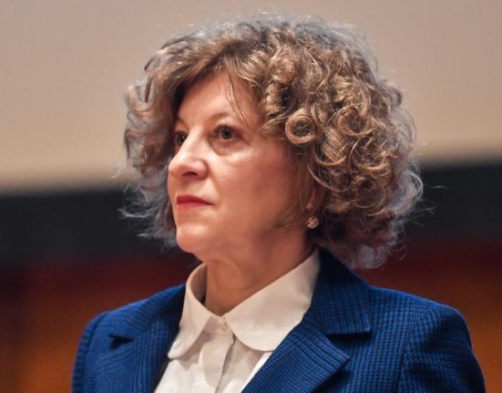 Ce mesaj de e mail le a trimis Oana Gheorghiu parlamentarilor care au semnat motiunea de cenzura joi seara