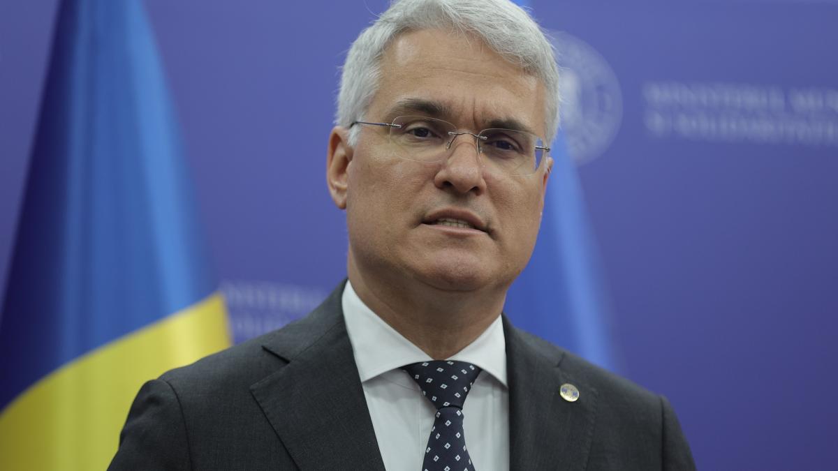Dragos Pislaru Evaluarile privind indeplinirea jaloanelor si obiectivelor in cadrul cererii de plata nr