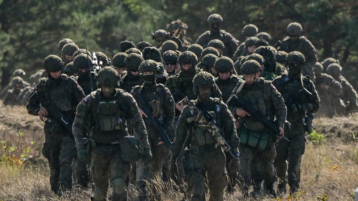 Nicusor Dan Retragerea a 5000 de soldati americani din Germania nu este o supriza Europa poate