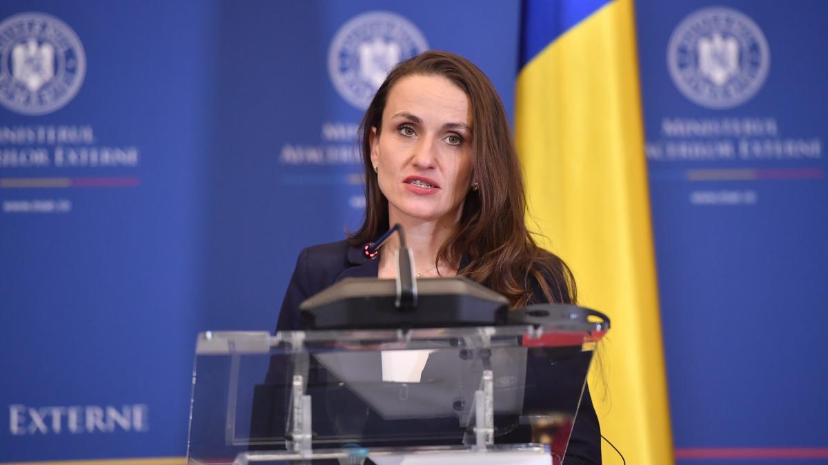 Oana Toiu Proprietatile detinute de MAE au fost evaluate la aproape 4 miliarde de lei