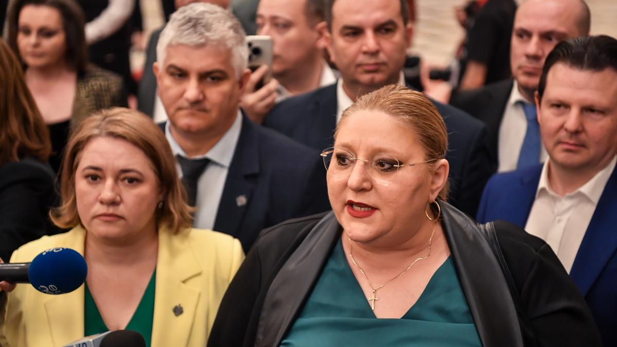comportament inacceptabil al dianei sosoca ilie bolojan a fost insultat si huiduit pe coridoarele parlamentului