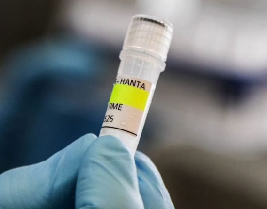 posibil caz de hantavirus in spania o femeie a fost izolata in alicante dupa ce a intrat in contact cu un pacient infectat
