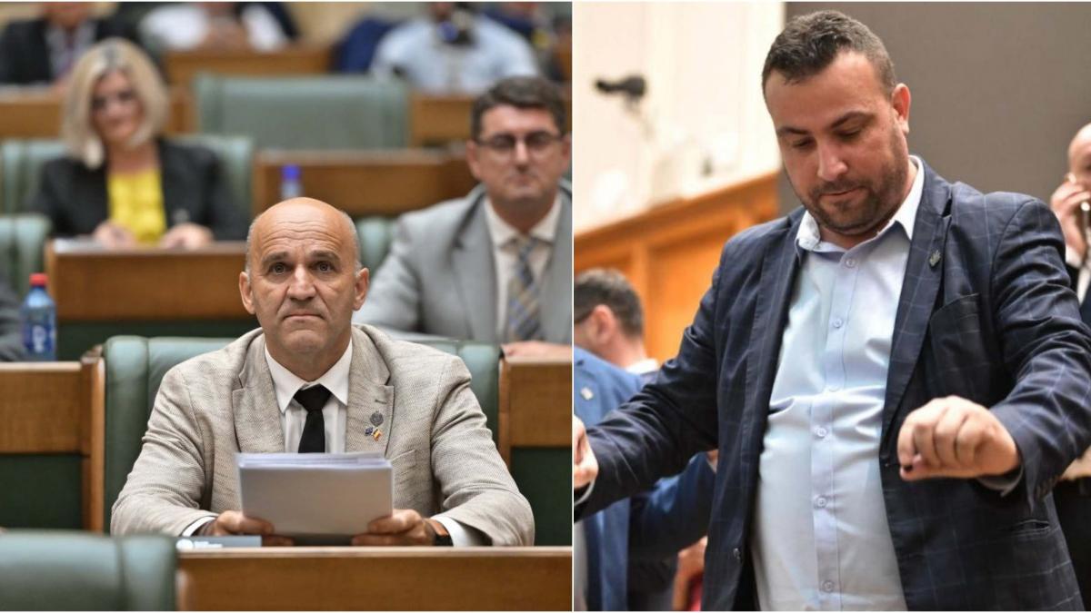 Cum a reformat Bolojan inca un suveranist Senatorul Bortun a decis sa rupa relatia cu Anamaria Gavrila Da