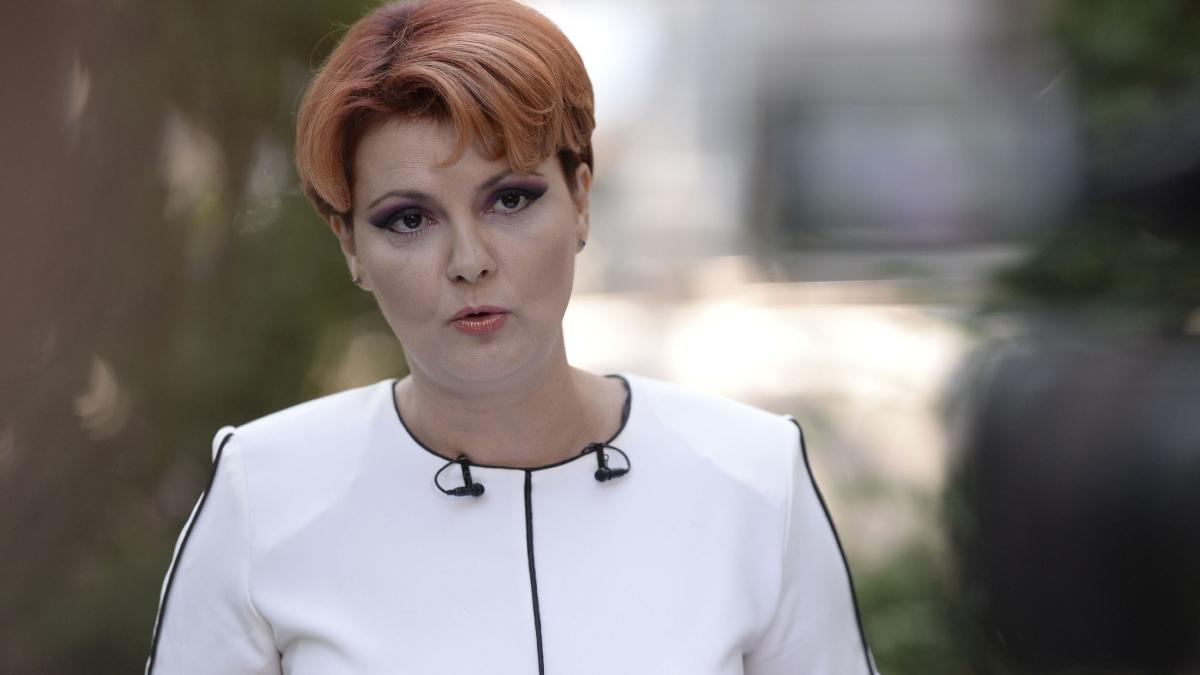 Lia Olgua Vasilescu anunta ca PSD a preparat amendamente pentru Legea salarizarii Daca vor fi