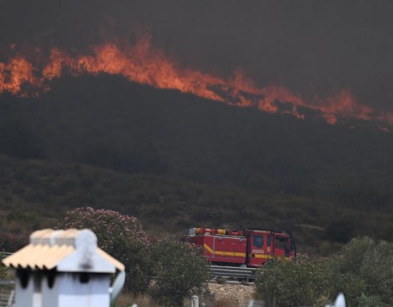Nicuser Dan ofera sprijin Romaniei Spaniei si altor tari afectate de incendii si fenomene meteo extreme