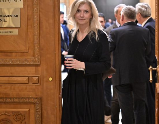 PNL sustine ca dosarul prin care se solicita anularea Congresului a fost atrituit unei foste colaboratoare