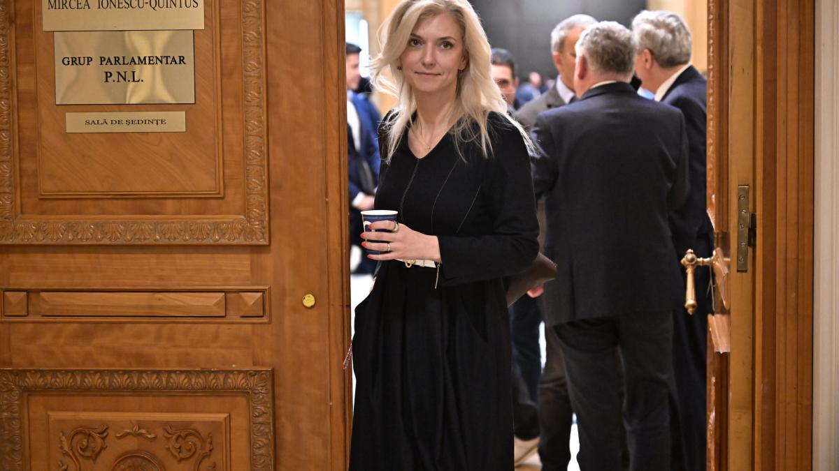 PNL sustine ca dosarul prin care se solicita anularea Congresului a fost atrituit unei foste colaboratoare
