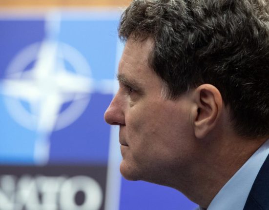 interviu nicusor dan la ankara mesajul principal este ca sua continua sa fie implicate in nato ce se 1