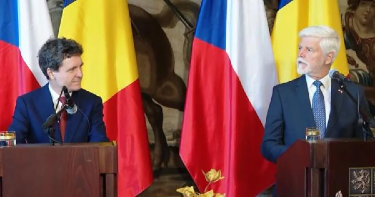Olguța Vasilescu: Viitorul guvern ar putea fi în jurul PSD, fără Grindeanu premier