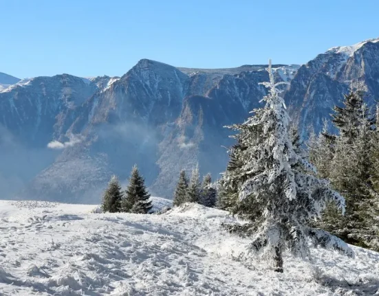 Primele ninsori în România: val de aer polar și temperaturi în scădere cu până la 12 grade
