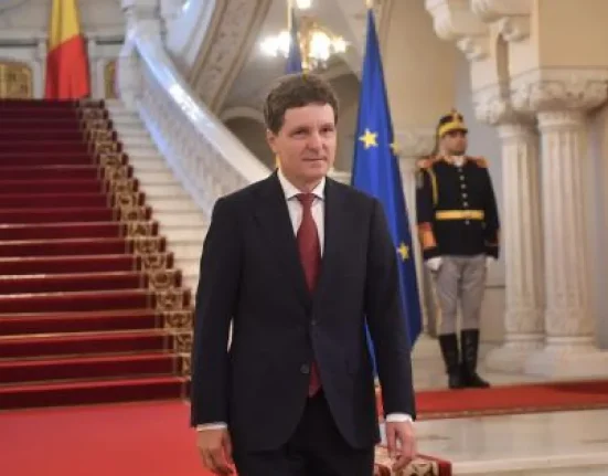 Ştefănuţă: Brâncuşi nu ar trece un test de sculptură, o maimuţă da