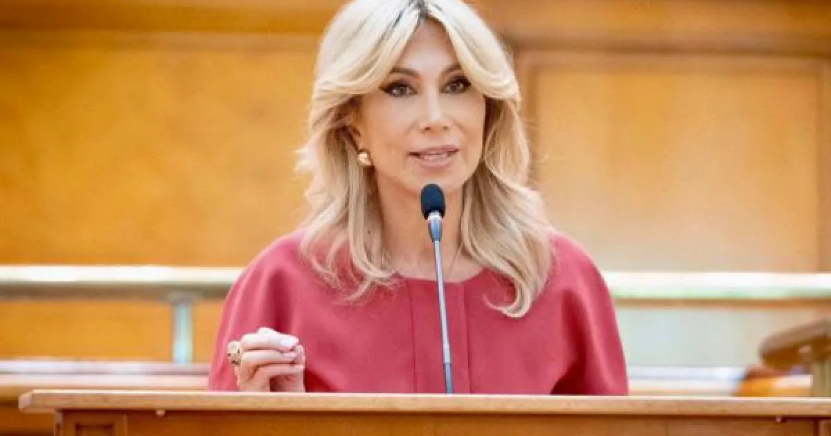 UDMR: Susținem un nou Guvern dacă se respinge legea privind refuzul drapelului