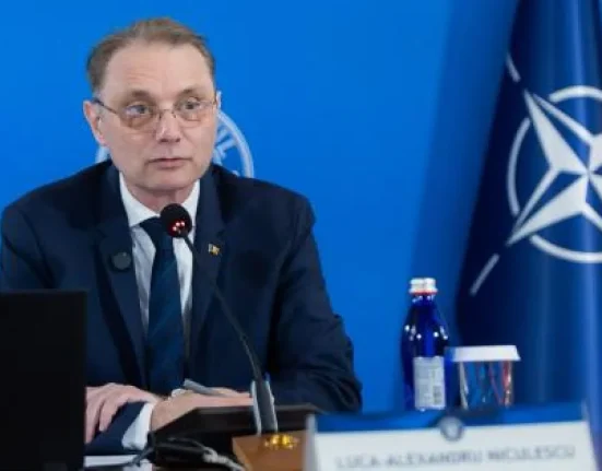 Ședință de urgență la Guvern după atacurile din școli. Niculescu vrea un plan rapid