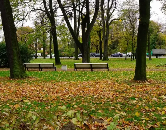 Toamnă caldă în România. Vremea până la începutul lui noiembrie